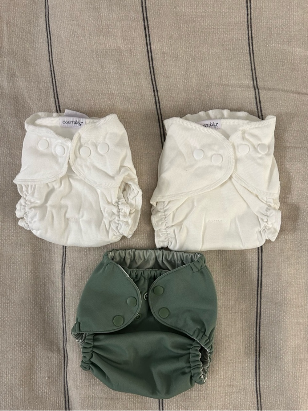 Essembly Cloth Diaper Outer + 2 Inners